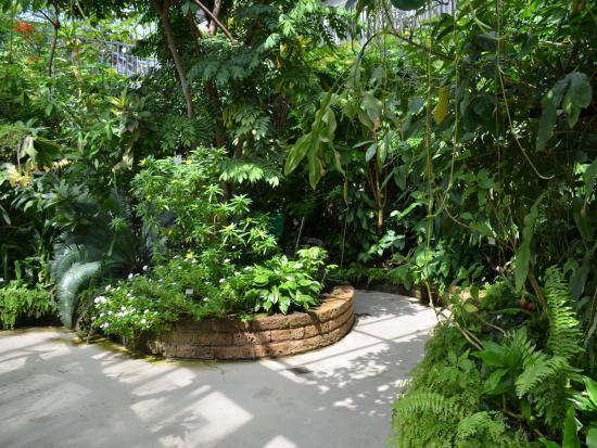 Jardin botanique de l'université de Leipzig